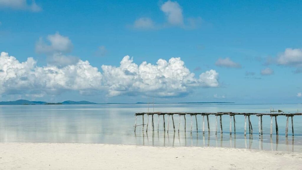 2025 Tanzania TikTok Ubushikiranganji Bwose Bwabiciro Ku Bukangurambaga