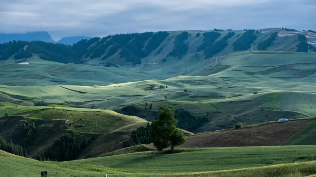 Inama yihariye ku bahinga mu Burundi: uko wabona abakora kuri Pinterest muri Panama kugira ngo ugerageze ibitekerezo by'ibicuruzwa bishya, hamwe n'uburyo bwo gutegura ubushakashatsi bw'igiciro n'ibyago.