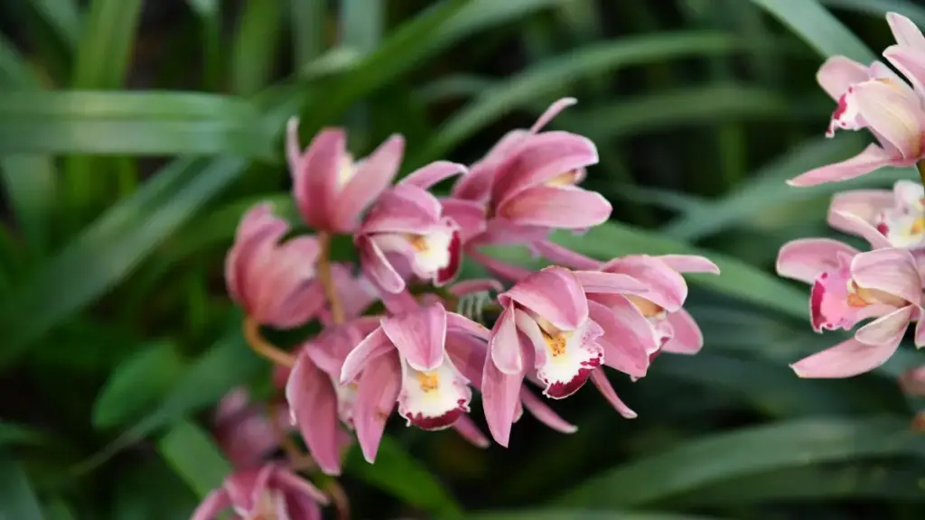 Amakuru y'umwuga ku buryo bwo gushikira no kwandika kuri Twitter ngo brand zo muri Slovenia zikubone, hamwe n'ingingo z'imikorere, amategeko y'umuco, hamwe n'ukuntu VPN ishobora gufasha.