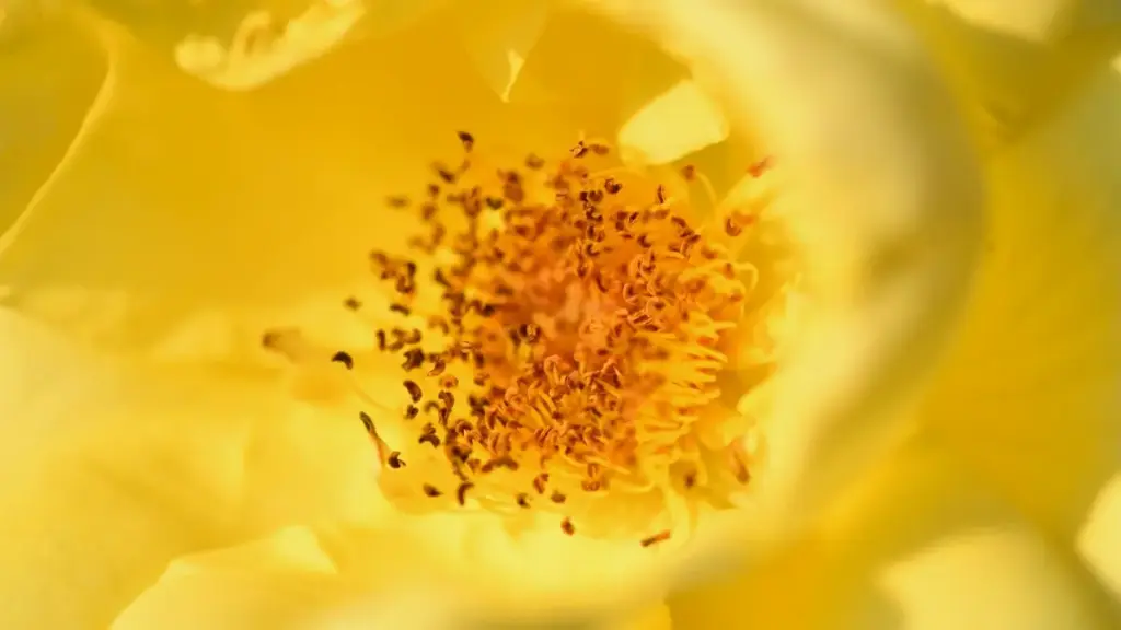 Inama z'imvugo n'ibikorwa ku baremakazi bo mu Burundi: uko ukoresha Twitter, mentions, DM, n'ubuhinga bwa Local Life kugira amasosiyete yo muri USA amenye ibitangaje vy'akarere.