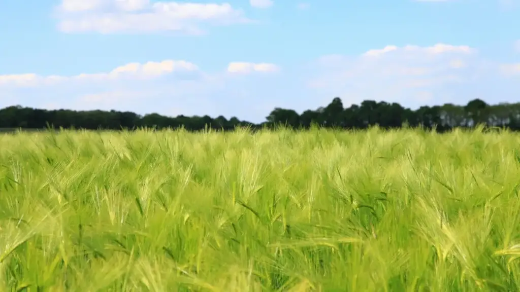 Inyigisho y'akarorero ku banywanyi bo mu Burundi: uburyo bwihuse bwo kubona no gukorana na creators ba Cambodia kuri Threads kugira ubutumwa bwa brand bukorwe neza ku mwanya w'akarere.