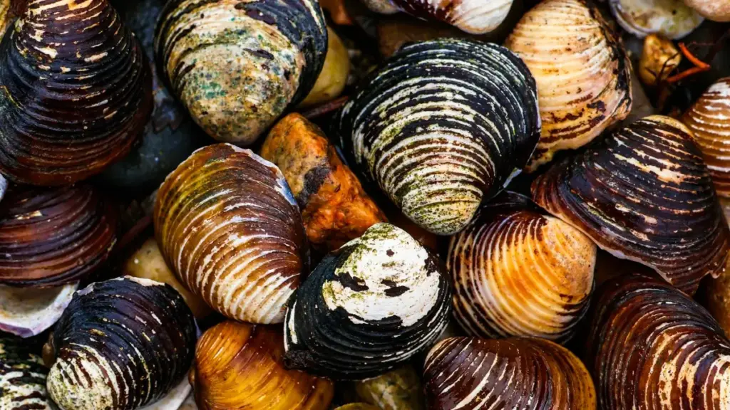 Uburyo bwagutse bwogushikira amasosiyete yo mu Urugway ukoresheje KakaoTalk kugira ngo mwinjire mu bikorwa vya wellness — inama z'akarorero, intambwe ku ntambwe, n'uburyo bwo guhiganwa.