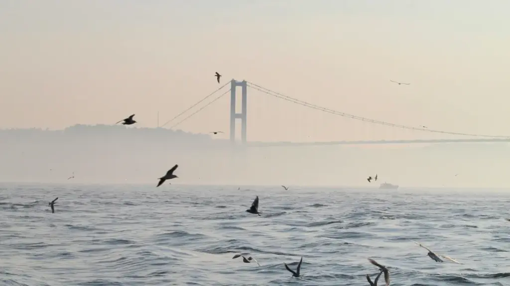 Inyandiko yihariye ku bakiriya ba Lazada bo muri Armenia bashobora gufasha kwamamaza uturere two muri Burundi biciye ku banyamwihariko b'ibikorwa bya influencer.