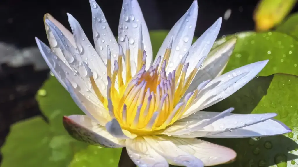 Inama zoroheje kandi z'ubuhinga ku buryo abarema muri Burundi bashobora kugera kuri Jordan Brand kuri Twitter no gusangiza before-and-after transformations mu 2025.