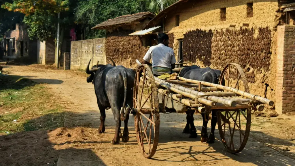 Uburyo bworoheje kandi bw’ubuhinga bwo gushikira amabranza ya Peru kuri OnlyFans kugira ngo uzamure indirimbo mu challenges; inama z’ubwirinzi n’uburyo bwo gukora partenariat.