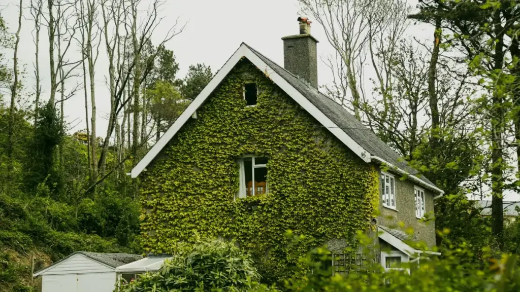 Inyigisho yoroshe, izwi kandi ifise uburyo bwo kubona abadandaza ba TikTok bo mu Uzbekistan kugira bafashe gukura kwa product-led growth kwa brand yawe iva i Burundi.