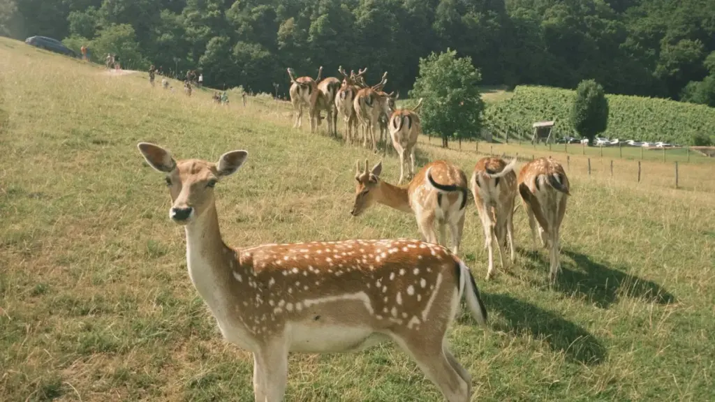 Ubuyenge bwa step‑by‑step bwo kubona no guhuza na brands za Grèce ukoresheje KakaoTalk kugirango mukore exclusive product bundles, n'uburyo bwo gukoresha AI, social commerce, na partnerships.