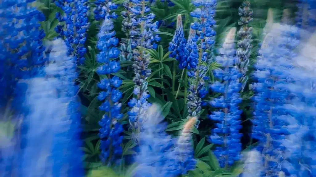 Inama z’uburyo bwo kugera ku mabranza yo muri Kenya ukoresheje Takatak, ukubaka fashion lookbooks zigezweho, hamwe n’imvo n’imvano z’isoko n’ingene ugira impact.