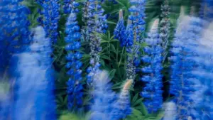 Inama z’uburyo bwo kugera ku mabranza yo muri Kenya ukoresheje Takatak, ukubaka fashion lookbooks zigezweho, hamwe n’imvo n’imvano z’isoko n’ingene ugira impact.