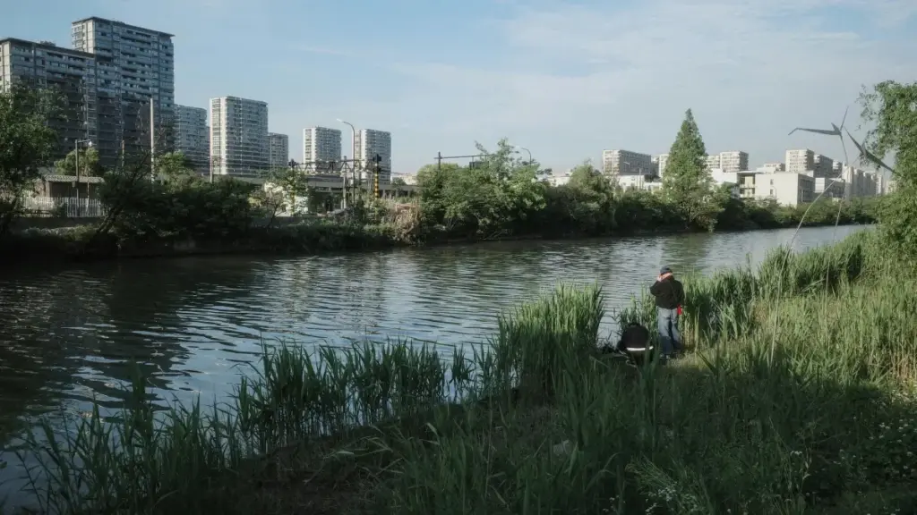 Inyandiko y'uburyo bwo kugera ku bigo vya New Zealand kuri Pinterest no gukorana mu gukora productivity guides; ubuhinga, ingero za Pinterest, na gahunda zo gutegura pitch ikora.