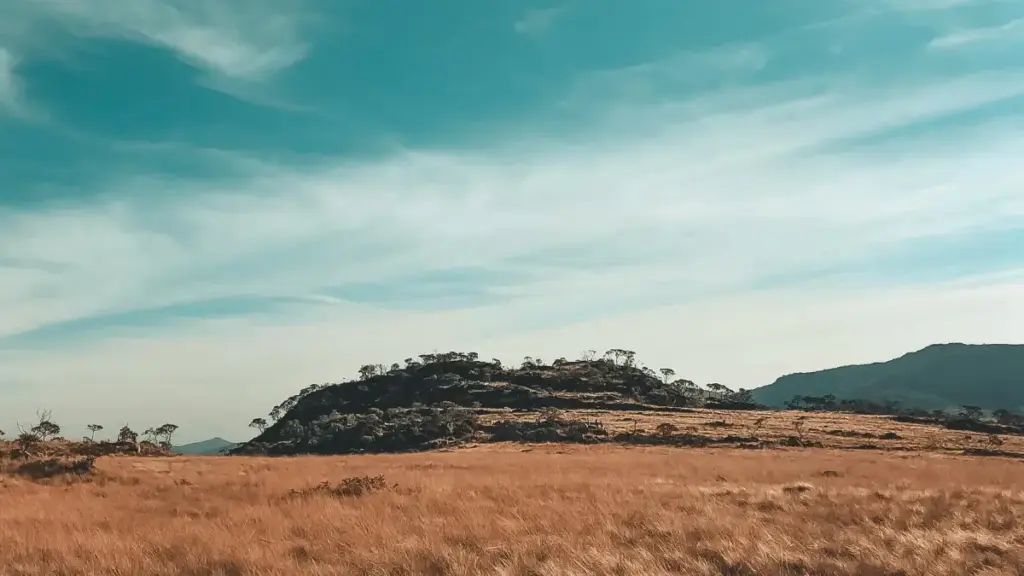 Inama z'uguhitamwo uburyo bwizewe bwo kugera ku masosiyete ya Turkey ku Amazon, uko wandika review za platforms z'amasomo, n'uburyo bwo kurinda ubwishyu bwawe.