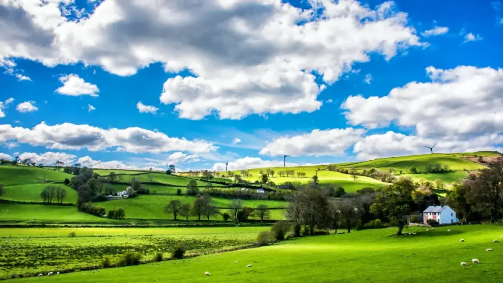 Inyigisho yihuse kandi igenzurwa ku buryo abadirishwa bo mu Burundi bashobora kuronka abakora kuri ShareChat muri Malaysia kugira ngo batangure campagne za giveaway, uko ubona, ugenzura, kandi wubaka amasezerano afatika.
