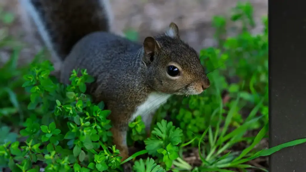 Ubumenyi bwa praktike ku gushaka no guhitamwo creators ba Ecuador kuri Reddit kuri creator-led fitness challenges, hamwe n'amayeri yo kwihuza, monetization, n'uburinzi bw'account.