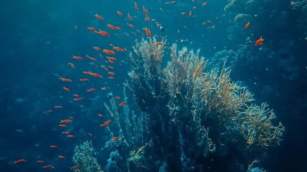 Uburyo bw'imvange: aho wabona abaforoma ba KakaoTalk bo muri Finland kugira bagutere inkunga mu kumenyekanisha uturere twawe twa buruhukiro.