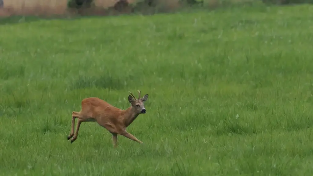 Inyigisho izaguha inzira nyayo zo gushika ku masosiyete ya Panama ukoresheje Zalo, uko wovuga proposal, umutekano, n'uburyo bwo guhuza ubuhinga n'ukuri kwa creator.