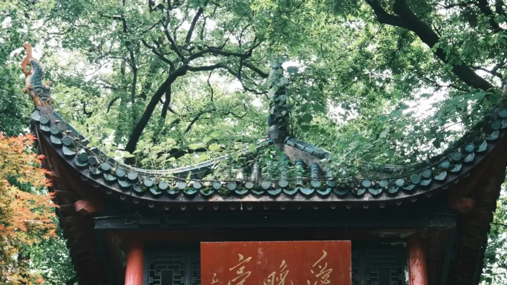 Inama zisingize uko creator avuye Burundi ashobora kugera ku mabrand ya Portugal kuri Netflix kugira ngo bitabire beta launches, hamwe n’amayeri, imirimo y’ugukorana, na VPN inama.