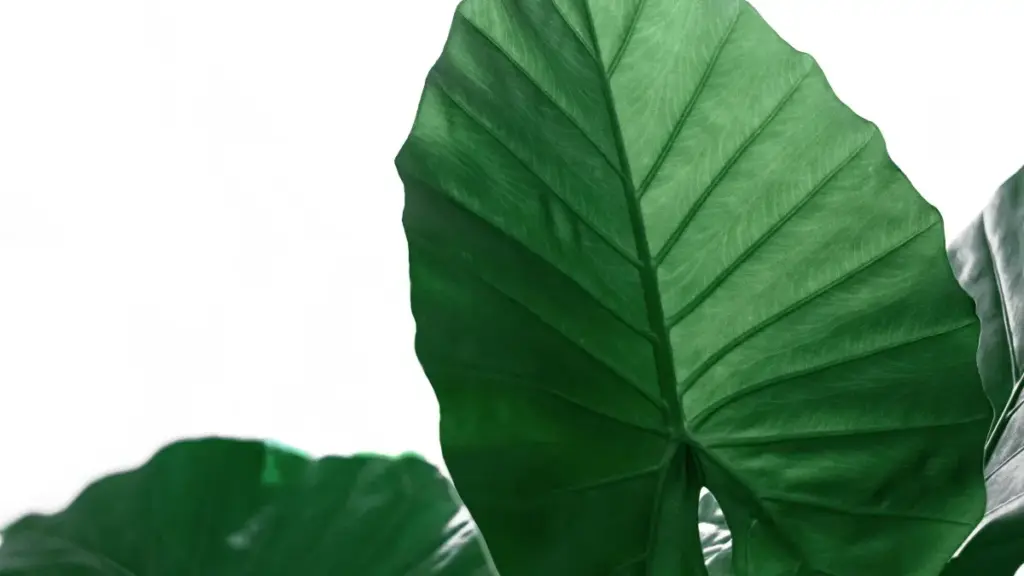 Uburyo bwihuse kandi bw’umuhinga bwo kubonera abaremba ibiganiro kuri KakaoTalk muri Paraguay ngo mufatanye mu bikorwa vya esports — inama z’akarere, amahuriro, na tools zo gupima ROI.