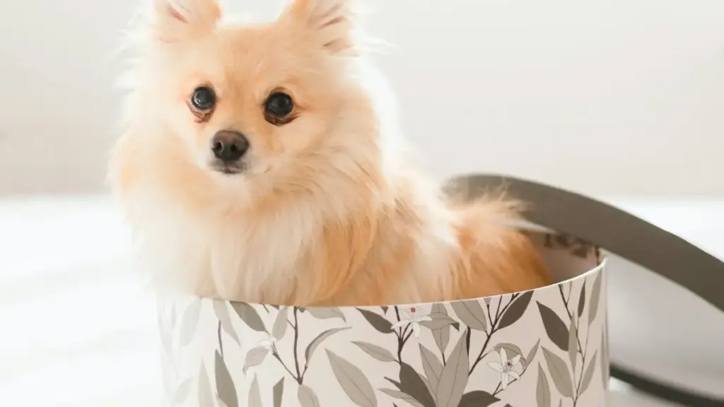 Inama z'umwuga zikwiranye n'abakora ibijanye na gameplay: uko ushikira amasosiyete yo muri Algeria kuri Reddit ugategura collaboration zigaragara neza mu karere ka Burund i.