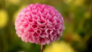 Inama zoroheje kandi zubaka ku gukorana na brand z’Australia ukoresheje LINE kugira ngo baguhe giveaway y’ama‑game keys — intambwe, inyungu, n’uburyo bwo kwirinda.