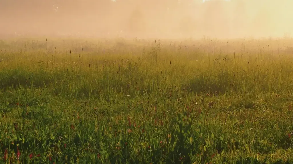 Uburyo bukora bwa Douyin bwo kugera ku birango vyo muri Finland no gukora product bundles zihariye; inama z’isoko, amahame y’ukuri, n’ukuntu wotangira vuba.