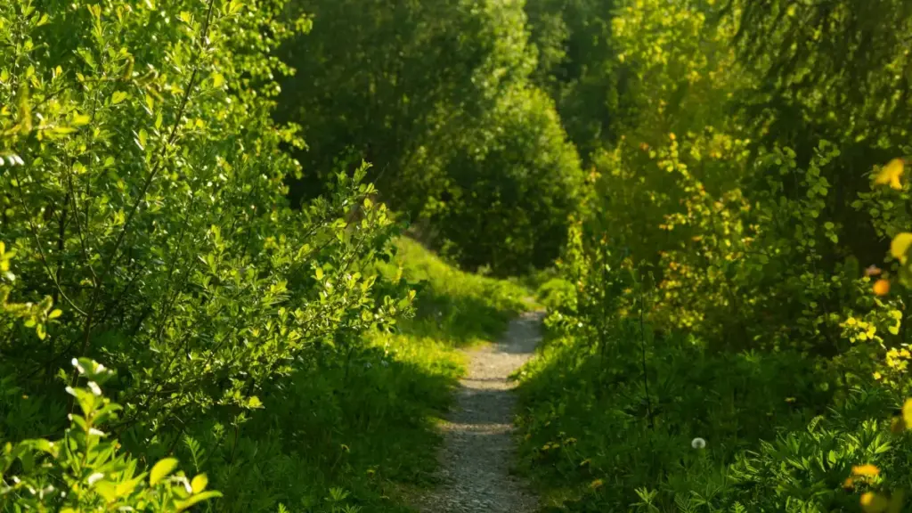 Inyigisho y'umuhinga wo ku mbuga: ingingo z'ibanze, uko wubaka ibiganiro kuri Clubhouse, uko ugeza ubutumwa ku masosiyete ya Latvia, n'uko ibi byongerera agaciro media kit yawe.