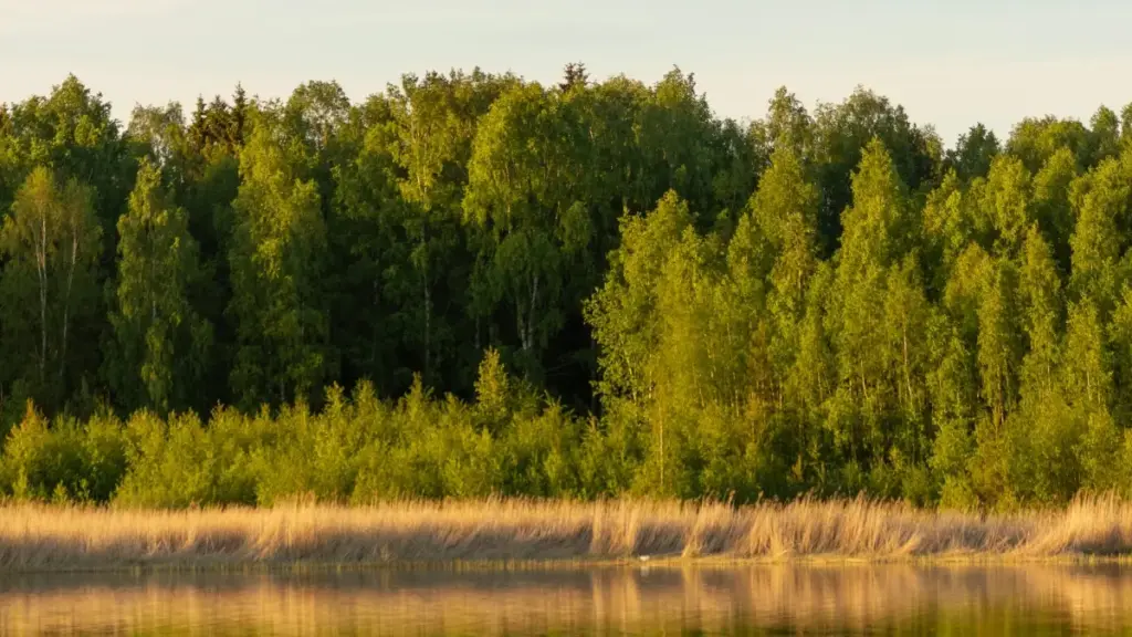 Inama nziza ku bamamaza mu Burundi: uko wabona creators za Roposo muri Indonesia kugira ngo uzamure launch ya mobile game yawe.