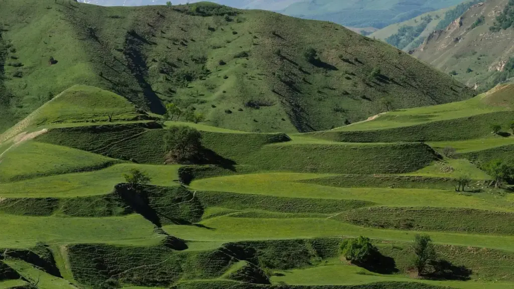 Inama zinoze ku buryo abamamaza bo mu Burundi bashobora kuronka no gukorana n’abakora contenu kuri LinkedIn muri Tanzania kugira bazamure product-led growth.