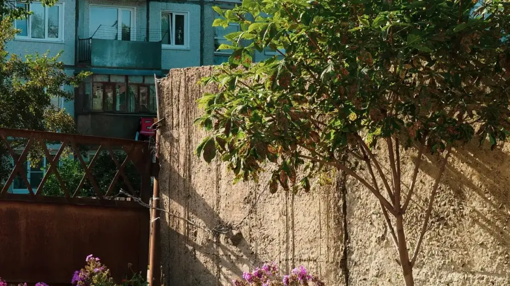 Uburyo bworoheje kandi bw'ubuhanga bwo kubona no gukorana n'aba creators bo muri Turukiya kuri Reddit kugira ngo bahindure followers abakiriya mu Burundi.