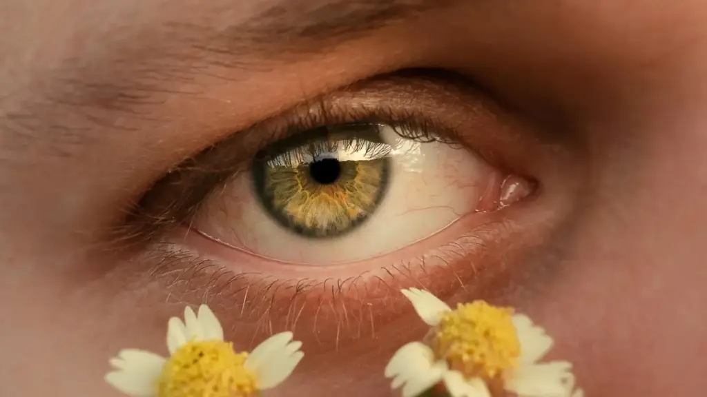 Menya uko wotora creators ba Azerbaijan kuri Snapchat, ukategura giveaway campaign ifise reach nziza, trust, n’inyungu zigaragara.