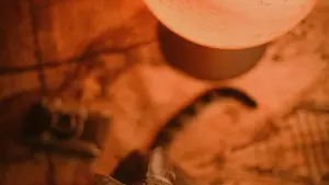 Umenye uko wowe ukora muri Burundi washikira marike za Croatia ukoresheje Spotify, ugasuzuma uburyo bwo kubandikira, no gukora wardrobe haul videos zifata.