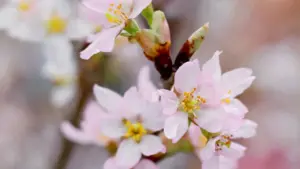 Dore uko creator wo mu Burundi yakwegera Norway brands kuri Kuaishou, agasuzuma ibicuruzwa biri ku trend, akubaka ukwizerwa no kubona collab.