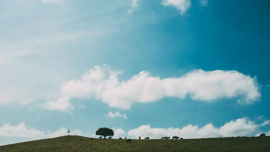 Ushaka creators ba Threads muri Bosnia and Herzegovina? Hano hari uburyo bwo kubabona, gusuzuma micro-influencers, no gukora partnership ifite trust n’results.